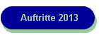 Auftritte 2013