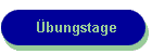 �bungstage